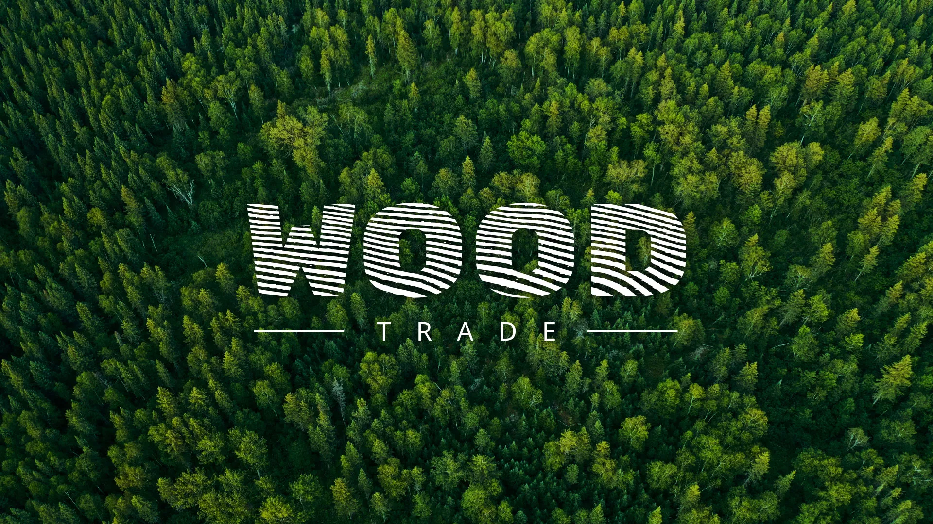 Разработка интернет-магазина компании «Wood Trade» в Бежецке